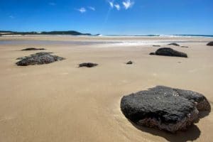 Photography #6094 from K'gari (Fraser Island)