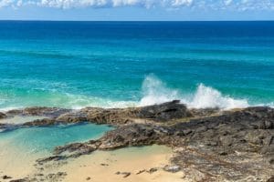 Photography #6097 from K'gari (Fraser Island)